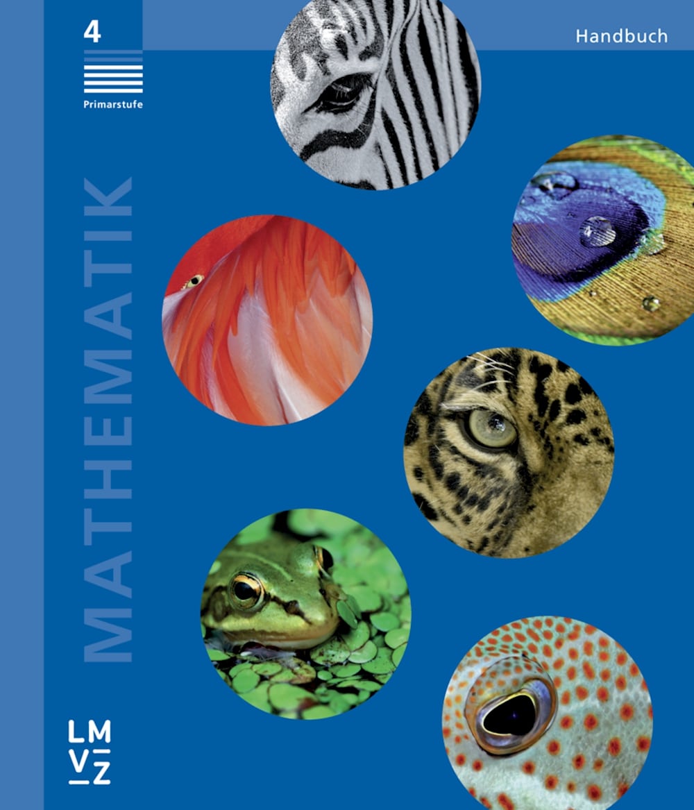 Mathematik 4 Handbuch