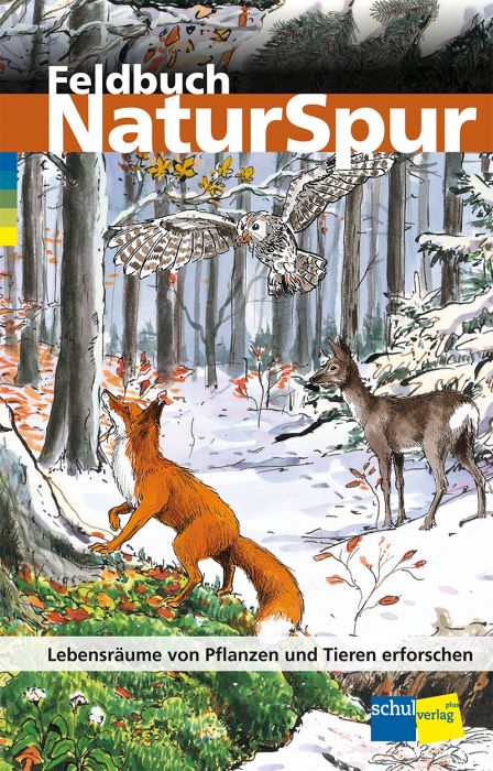 Lehrmittelverlag St. Gallen - 