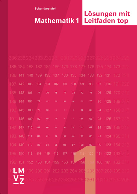 Mathematik 1 Lösungen mit Leitfaden top