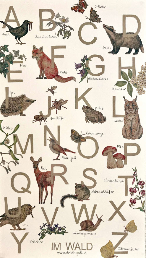 Buchstaben-Poster Pflanzen & Tiere