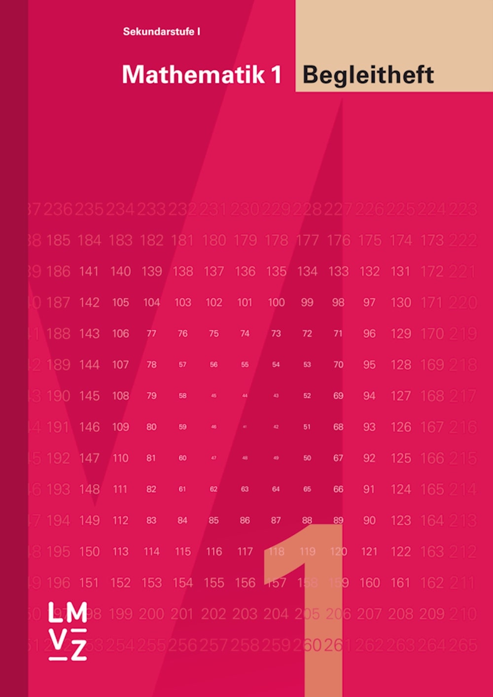 Mathematik 1 Begleitheft